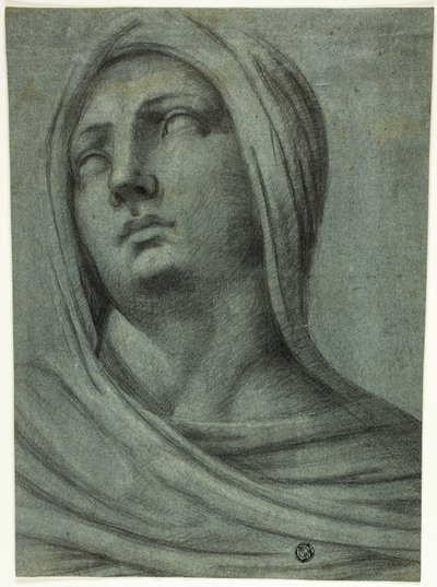Hunnullisen naisen pää ja hartiat tekijältä Sebastiano del Piombo