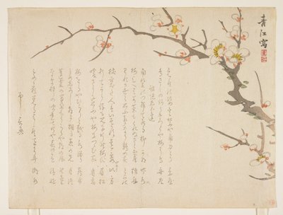 Kukkiva luumu, tammikuu 1837 (värillinen puupainatus) tekijältä Seik Hashimoto