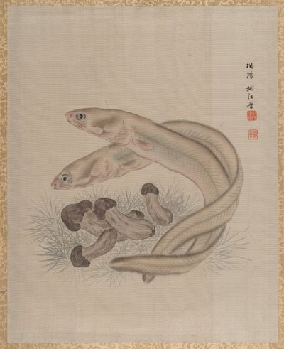Ankeriaat, n. 1890-92. tekijältä Seki Shuko