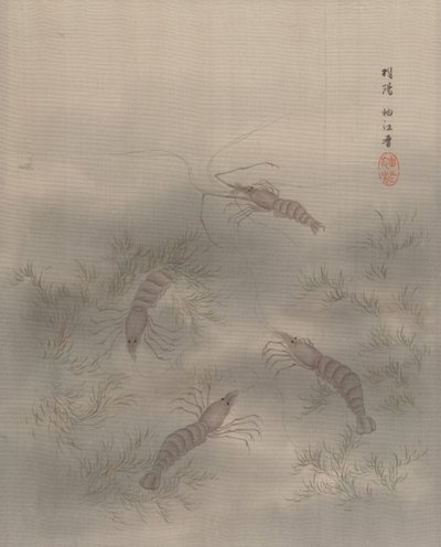 Shrimp AB, Ca. 1890-92. tekijältä Seki Shuko
