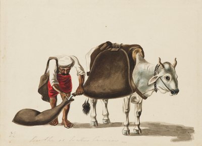 Vesisäiliö, c1810 tekijältä Sewak Ram
