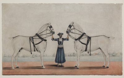 Syce (sulhanen) pitelee kahta vaunuhevosta, n. 1845 (läpinäkymätön akvarelli paperille) tekijältä Shaik Muhammad Amir of Karraya (attr. to)