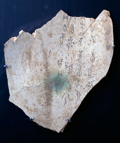 Piktogrammi härän lapaluun rituaalilla vaaran torjumiseksi (luu) tekijältä Shang Dynasty Chinese School