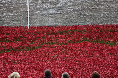 Blood Swept Lands and Seas of Red, Tower of London, 2014. tekijältä Sheldon Marshall