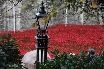 Blood Swept Lands and Seas of Red, Tower of London, 2014. tekijältä Sheldon Marshall