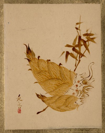  tekijältä Shibata Zeshin