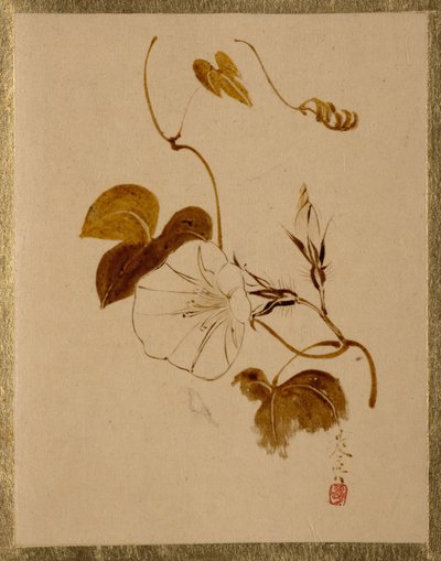  tekijältä Shibata Zeshin