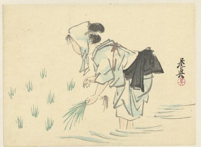 Riisiä istuttava nainen tekijältä Shibata Zeshin