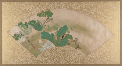 Erilaisia kasveja ja ruohoa, 1800-luvun loppu. tekijältä Shibata Zeshin