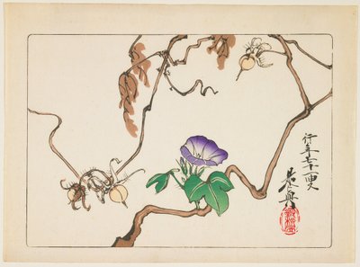  tekijältä Shibata Zeshin