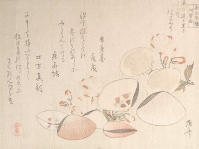 Kirsikankukat ja kuoret, 1800-luku, 1800-luku. tekijältä Shinsai