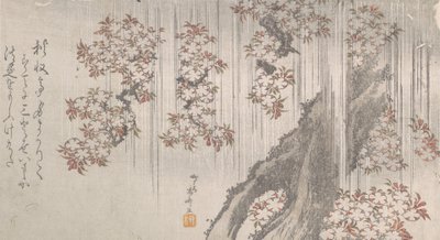 Kirsikankukkia sateessa, 1800-luku, 1800-luku. tekijältä Shinsai