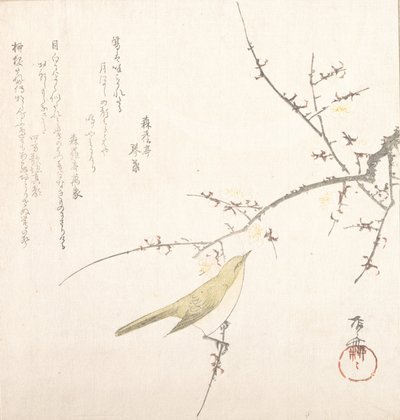 Uusikuu, satakieli luumun oksalla, 1800-luku, 1800-luku. tekijältä Shinsai