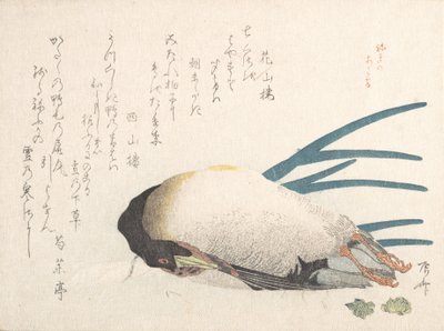 Spring Rain Collection Harusame shu, voi. 1: Ankka ja Scallions, 1810-luku, 1810-luku. tekijältä Shinsai