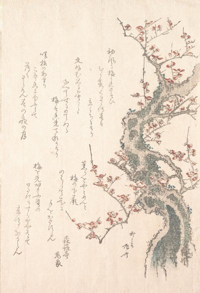 Spring Rain Collection Harusame shu, voi. 1: Luumupuu Bloomissa, n. 1805-10, n. 1805-10. tekijältä Shinsai