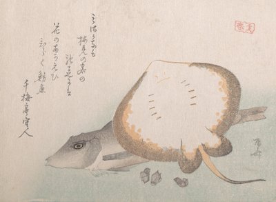 Stingray ja Gurnard, luultavasti 1815, luultavasti 1815. tekijältä Shinsai