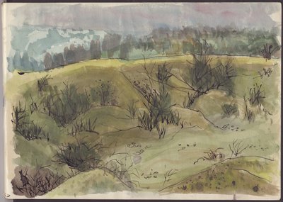 Maisema pensailla, Italia, v1950. tekijältä Shirley Markham