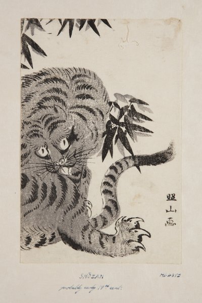 Tiger (värillinen puupalikkaprintti) tekijältä Shozan Shozan