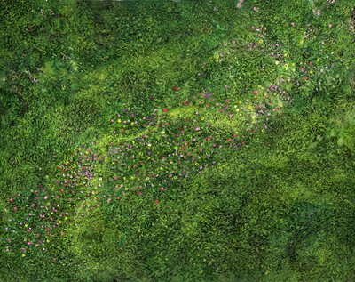 Lintuperspektiivi tekijältä Silvian Sternhagel