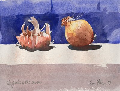 Valkosipuli ja sipuli, 2003 (akvarelli) tekijältä Simon Fletcher