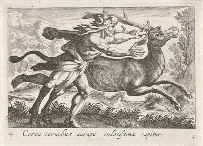 Hercules vangt de Hind van Cerynea Peura, jolla on kultaiset sarvet, saadaan kiinni erittäin nopeasti (otsikko esineessä) Herculische-teeman (sarjan nimi) tekijältä Simon Frisius