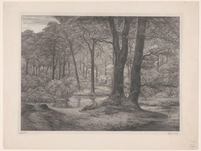 Bosc amb estany i home jacent Bosc de Teutoburg (vista del bosc) (títol original) acabat tekijältä Simon Moulijn (signed by artist)