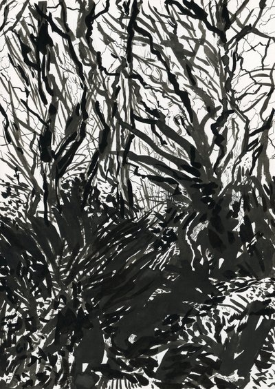 Ham Common Woods (muste ja grafiitti paperille) tekijältä Simon Neville