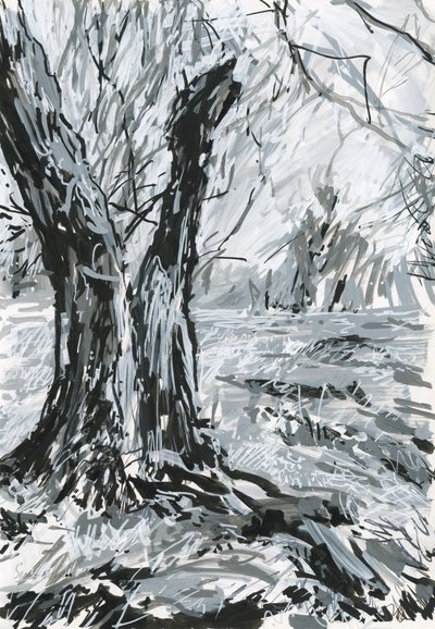 Vanha puu, Richmondin puisto (akryylivärikynät ja muste paperille) tekijältä Simon Neville