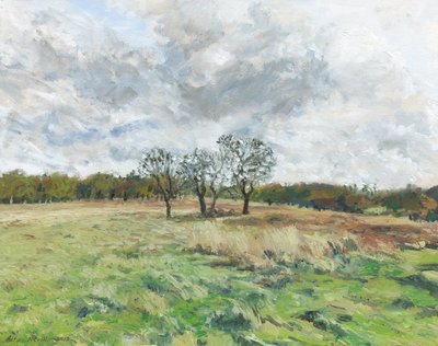 Richmond Park (öljy kankaalle) tekijältä Simon Neville