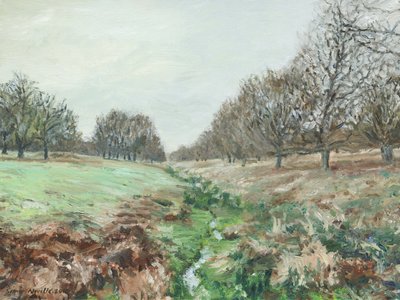 Richmond Park (öljy pellavalle) tekijältä Simon Neville