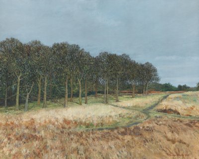 Metsä, Richmond Park, 2019 (öljy kankaalle) tekijältä Simon Neville