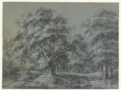 Metsämaisema vedellä tekijältä Simon de Vlieger