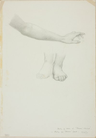 Kädet ja jalat, Venuksen peilin opiskelu tekijältä Sir Edward Burne Jones