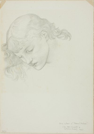 Head, Study for Mirror of Venus tekijältä Sir Edward Burne Jones