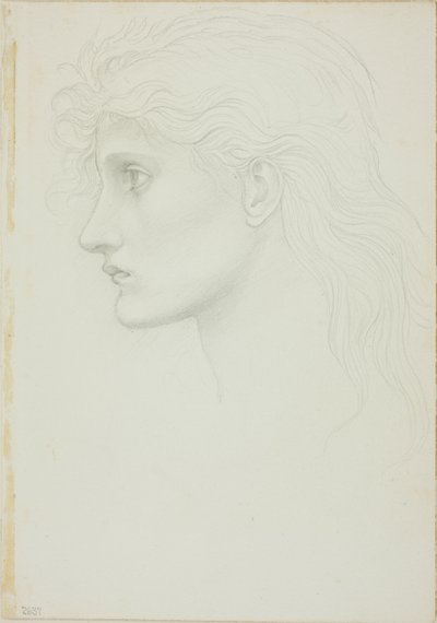 Tytön pää vasen tekijältä Sir Edward Burne Jones