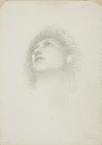 Naisen pää, jolla on kasvot ylösalaisin tekijältä Sir Edward Burne Jones