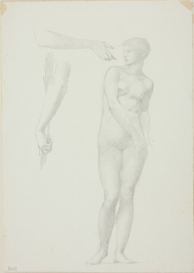Pysyvä naisten alastonkuva ja asepiirroksia tekijältä Sir Edward Burne Jones