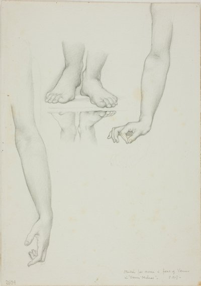 Tutkimus Venuksen peilistä: Venuksen kädet ja jalat tekijältä Sir Edward Burne Jones