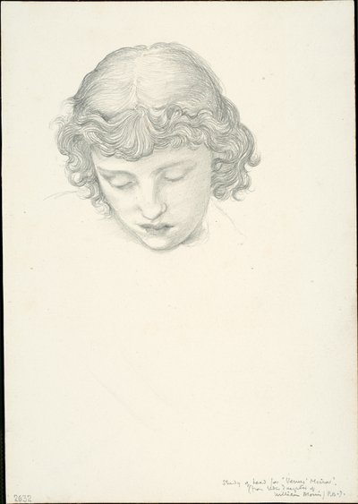 Tutkimus Venuksen peilistä: Pää tekijältä Sir Edward Burne Jones