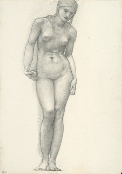Venus ja kultainen omena oikeassa kädessä, Troijan triptyykille (luonnoskirja #2639) tekijältä Sir Edward Burne Jones