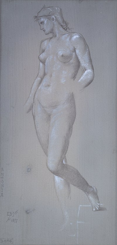 Antonia, 1877 tekijältä Sir Edward Coley Burne Jones