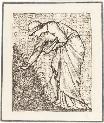 Kukkia poimiva nainen tekijältä Sir Edward Coley Burne Jones