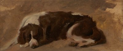 Um Spaniel deitado no finlandês tekijältä Sir Edwin Henry Landseer