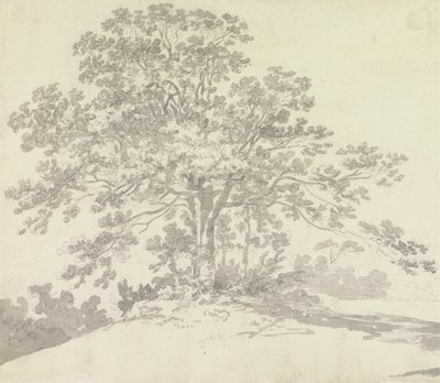 Puu tekijältä Sir George Howland Beaumont seventh Baronet