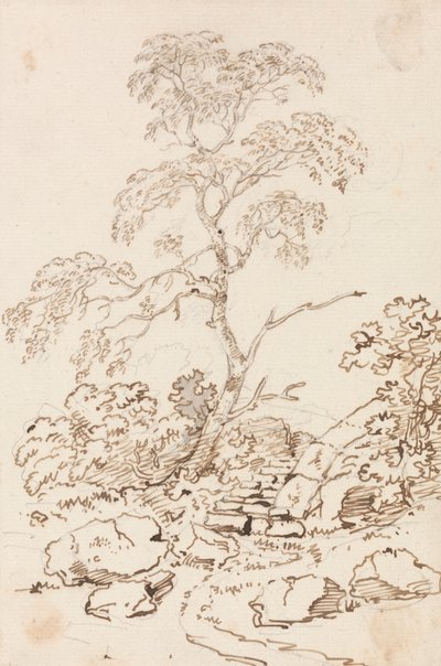 Puu askeleelta tekijältä Sir George Howland Beaumont seventh Baronet