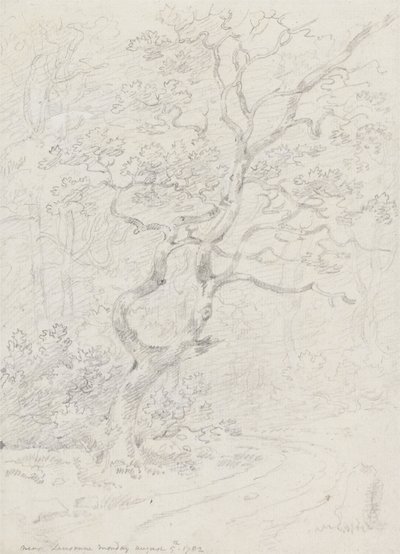 Puut, Lausannen lähellä tekijältä Sir George Howland Beaumont seventh Baronet
