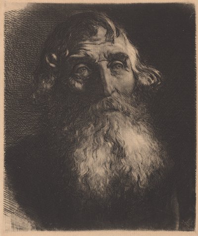 Vanha mies tekijältä Sir Hubert von Herkomer