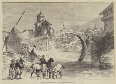 Kapina Hertsegovinassa, Mostar tekijältä Sir John Charles Robinson