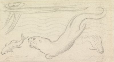 Lasimaalaustutkimus, saukko ja kaksi kalaa tekijältä Sir John Everett Millais