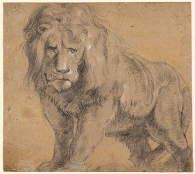 Leijona tekijältä Sir Peter Paul Rubens
